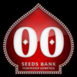 00 Seeds Bank Auto Chocolate Cream