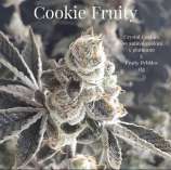 A.B. Seed Company Cookie Fruity