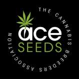 ACE Seeds PCK x Kali China