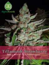 Alphakronik Genes Tillamook Strawberry