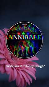 Annibale Genetics Firstclass F2