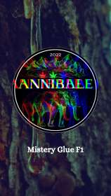 Annibale Genetics Mistery Glue