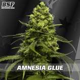 Amnesia Glue