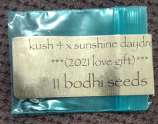 Bodhi Seeds Kush 4 x Sunshine Daydream