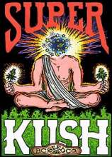 British Columbia Seed Company Super Kush