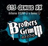 Brothers Grimm G-13 Genius XX