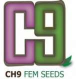CH9 Female Seeds Super Skunk Haze