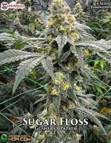 Cannarado Genetics Sugar Floss