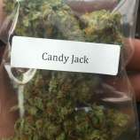 Clone Only Strains Candy Jack