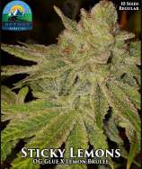 Covert Genetics Sticky Lemons