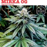 Cultivated Choice Genetics Mirka OG