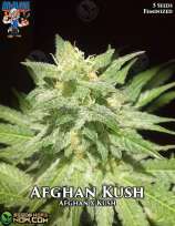 Dr. Blaze Afghan Kush