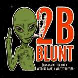 Elev8 Seeds 2 B Blunt