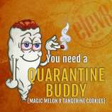 Elev8 Seeds Quarantine Buddy