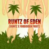 Elev8 Seeds Runtz Of Eden