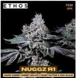 Ethos Genetics Nuggz