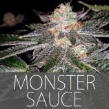 Exclusive Seeds Monster Sauce