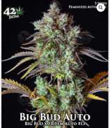 Fast Buds Company Big Bud Auto