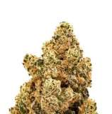 Fatbush Seeds Afghan Kush