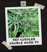 Freeborn Selections SkyCuddler Double Kush