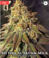 GibbsKutz Genetics Mythical Skunk Milk