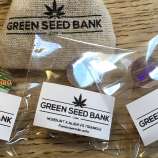 Green Seed Bank Nordurt x Alien vs Triangle
