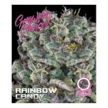 Growers Choice Rainbow Candy Autoflowering