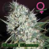 Growers Choice Sweet Cheese