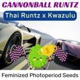 Happy Bird Seeds Cannonball Runtz