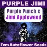 Happy Bird Seeds Purple Jimi
