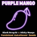 Happy Bird Seeds Purple Mango