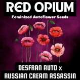 Happy Bird Seeds Red Opium