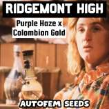 Happy Bird Seeds Ridgemont High