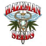 Hazeman Seeds Gangster OG