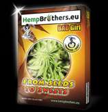 Hempbrothers Bad Girl