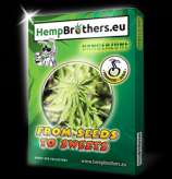 Hempbrothers Danger Zone