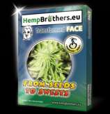 Hempbrothers Transformed Face