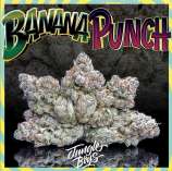 Jungle Boys Banana Punch
