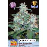 Kera Seeds Amsterdam Cheese