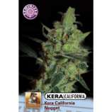 Kera Seeds California Nugget