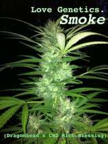 Love Genetics Smoke