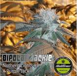 Madd Farmer Genetics Bi-polar Jackie