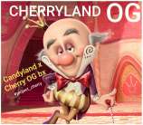 Mr Grow Guy Cherryland OG