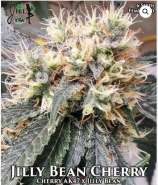 MzJill Genetics Jilly Bean Cherry