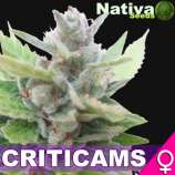 Nativa Seeds Criticams