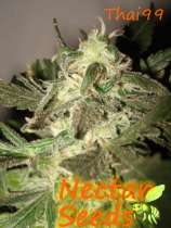 Nectar Seeds Thai99