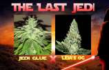 New420Guy Seeds The Last Jedi