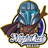 Night Owl Seeds Purple Pope