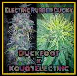 Pua Mana Pakalolo Electric Rubber Ducky