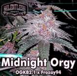 Relentless Genetics Midnight Orgy